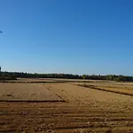 Maatilamatkailu Ilomaeki *