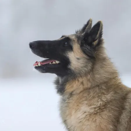Farm stay Maatilamatkailu Ilomaeki