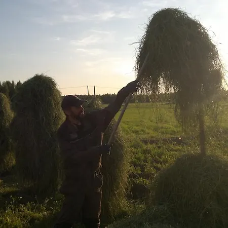 Maatilamatkailu Ilomaeki Κατάλυμα σε φάρμα *