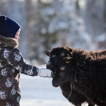 Κατάλυμα σε φάρμα Maatilamatkailu Ilomaeki