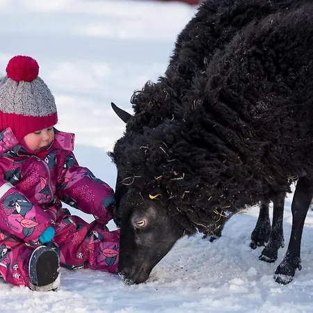 Maatilamatkailu Ilomaeki Κατάλυμα σε φάρμα *