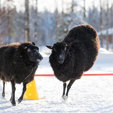 Maatilamatkailu Ilomaeki * Seinajoki