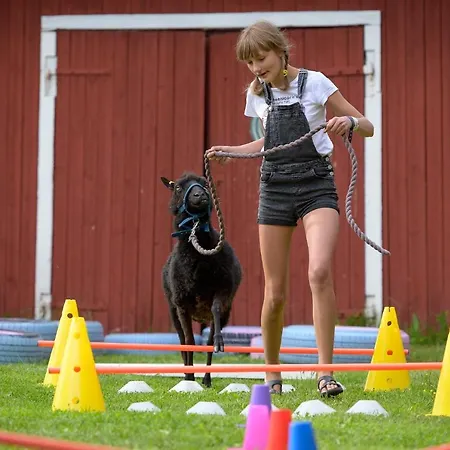 Κατάλυμα σε φάρμα Maatilamatkailu Ilomaeki *