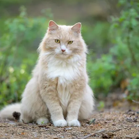 Maatilamatkailu Ilomaeki