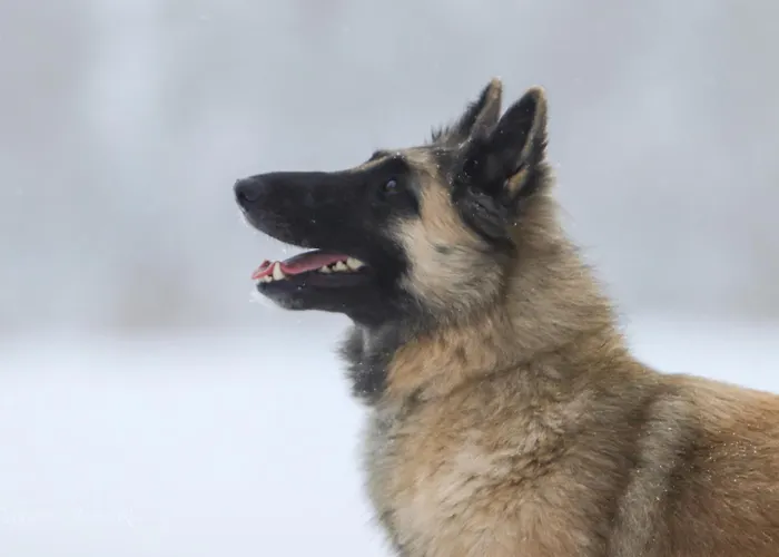 Séjour à la ferme Maatilamatkailu Ilomaeki