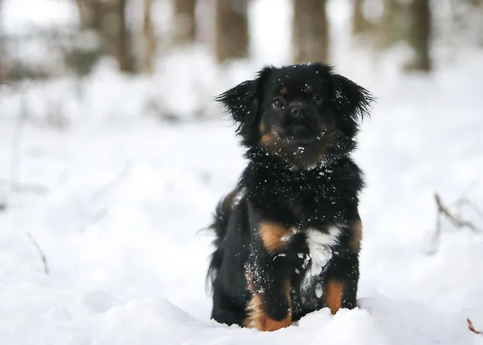Maatilamatkailu Ilomaeki Séjour à la ferme