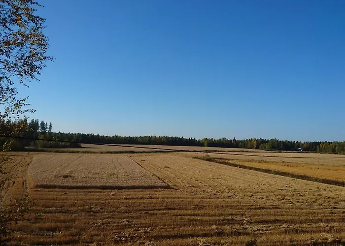 Maatilamatkailu Ilomaeki *