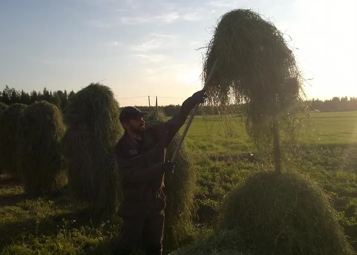 Maatilamatkailu Ilomaeki Séjour à la ferme *