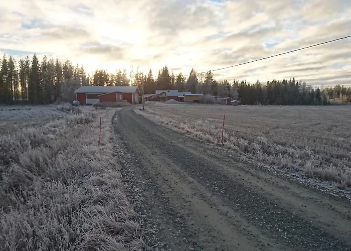 Maatilamatkailu Ilomaeki Séjour à la ferme Seinäjoki