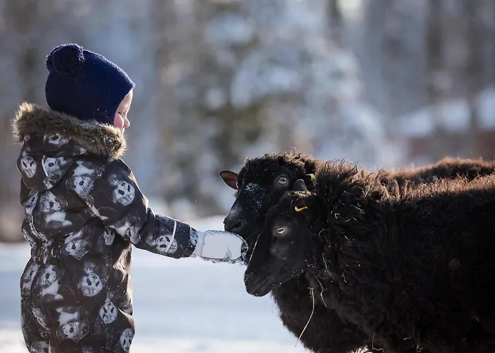 Séjour à la ferme Maatilamatkailu Ilomaeki