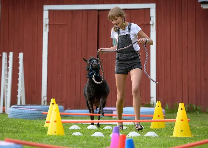 Séjour à la ferme Maatilamatkailu Ilomaeki *