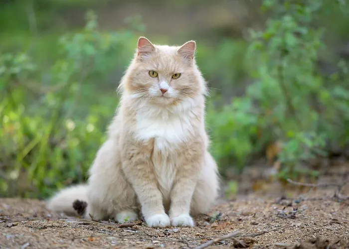 Maatilamatkailu Ilomaeki