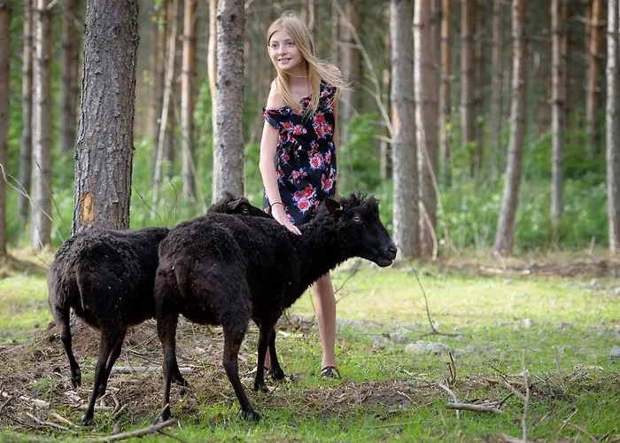 Séjour à la ferme Maatilamatkailu Ilomaeki Seinäjoki